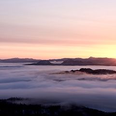 84位のイメージ