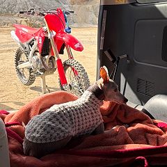 28位のイメージ