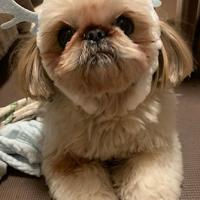 369位のイメージ