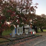 33位のイメージ