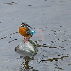 122位のイメージ