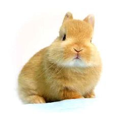 132位のイメージ