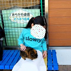 31位のイメージ