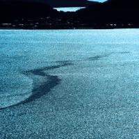 94位のイメージ