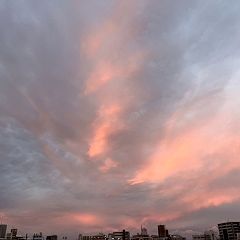 83位のイメージ