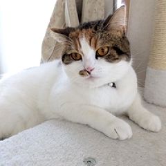 141位のイメージ