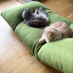 26位のイメージ