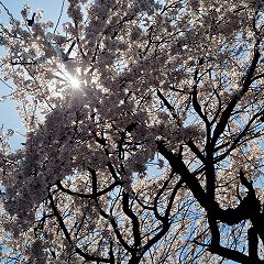 64位のイメージ