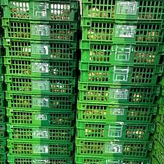 140位のイメージ