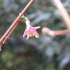 129位のイメージ