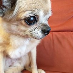 587位のイメージ