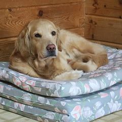 35位のイメージ