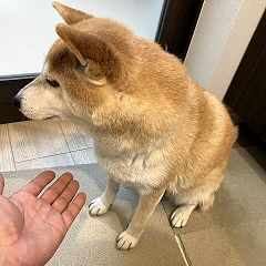 277位のイメージ