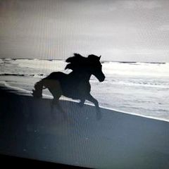 163位のイメージ