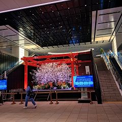 34位のイメージ