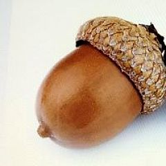 62位のイメージ