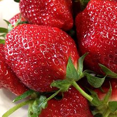 103位のイメージ