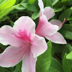 15位のイメージ