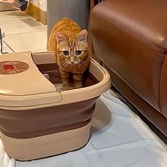 131位のイメージ