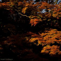 191位のイメージ