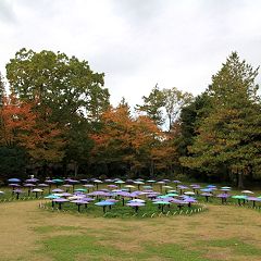 30位のイメージ