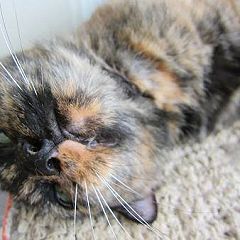 58位のイメージ