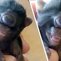 69位のイメージ