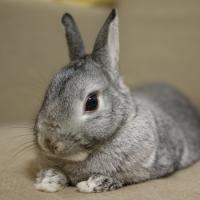 129位のイメージ