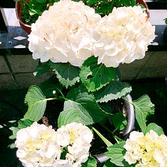 16位のイメージ