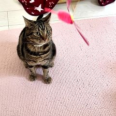 43位のイメージ