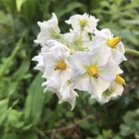 460位のイメージ