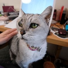 24位のイメージ