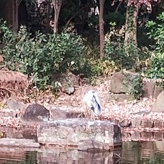 78位のイメージ