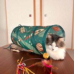 71位のイメージ