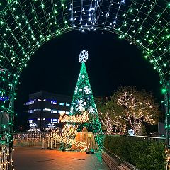 29位のイメージ