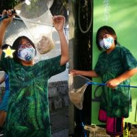 31位のイメージ