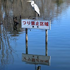 1022位のイメージ