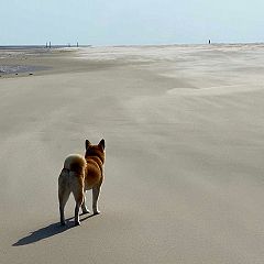 44位のイメージ