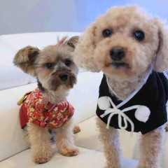 186位のイメージ