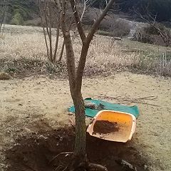 20位のイメージ