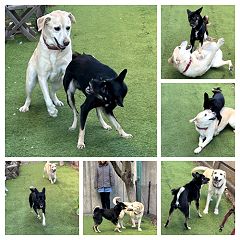 46位のイメージ