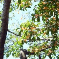 458位のイメージ