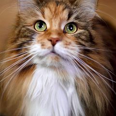 19位のイメージ