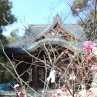 61位のイメージ