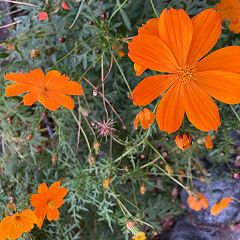 12位のイメージ