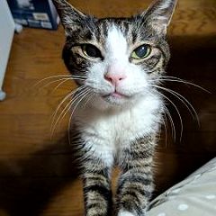 1141位のイメージ