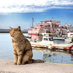 140位のイメージ