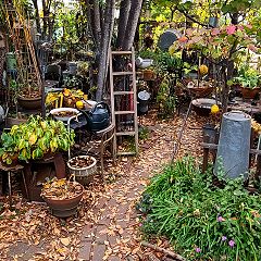 66位のイメージ