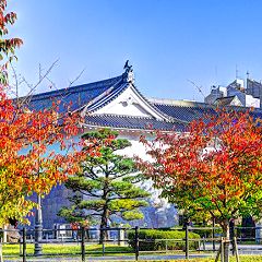 66位のイメージ