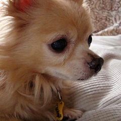 11731位のイメージ